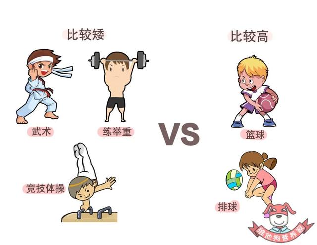 超级宝妈@娃的长高“黄金季”来了!知道这4个长高真相,孩子多长10cm