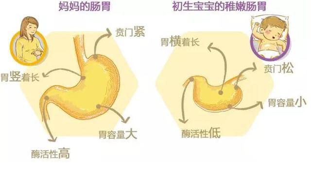 有种苦恼叫“宝宝吐奶”，第一步不是抱起来拍，宝妈做错却不自知