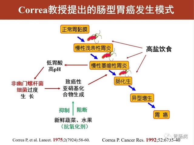 胃黏膜肠化，不要太担心；异型增生要小心