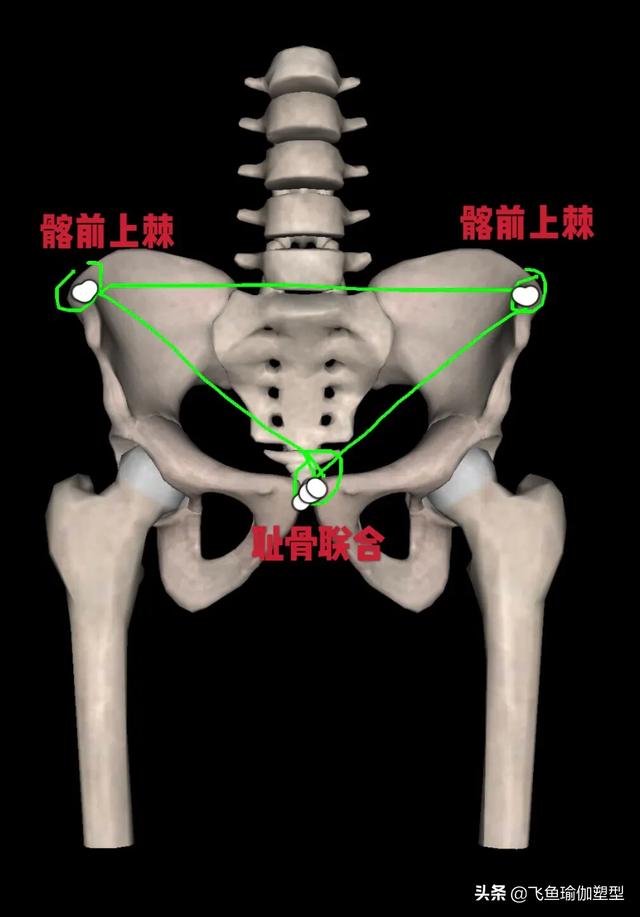 什么叫做"腰马合一"?如何维持"腰马合一"