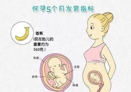 超级宝妈▲幸孕的奇迹第20周