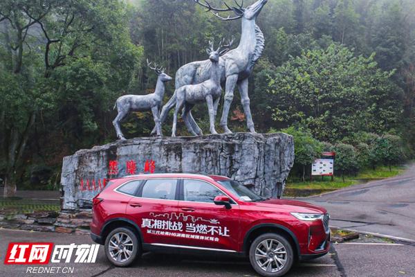 H6|试驾第三代哈弗H6 揭晓国民神车为何值得购买