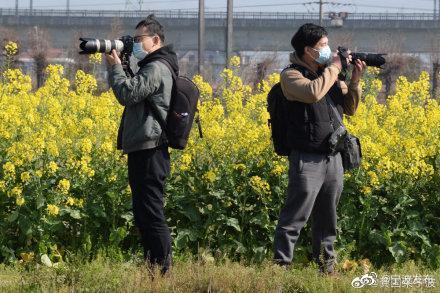 「光明网」开往春天的火车，穿梭油菜花田美