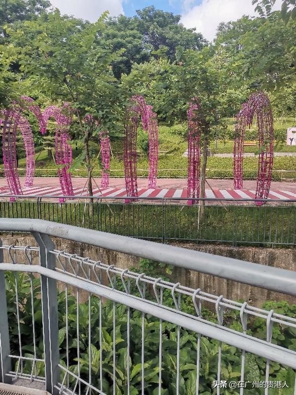 【山楂味的诗】走马观花,看顺德大良。