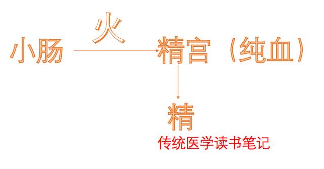 疾病越来越重？内经深度解析“君有疾在腠理，不治将恐深”