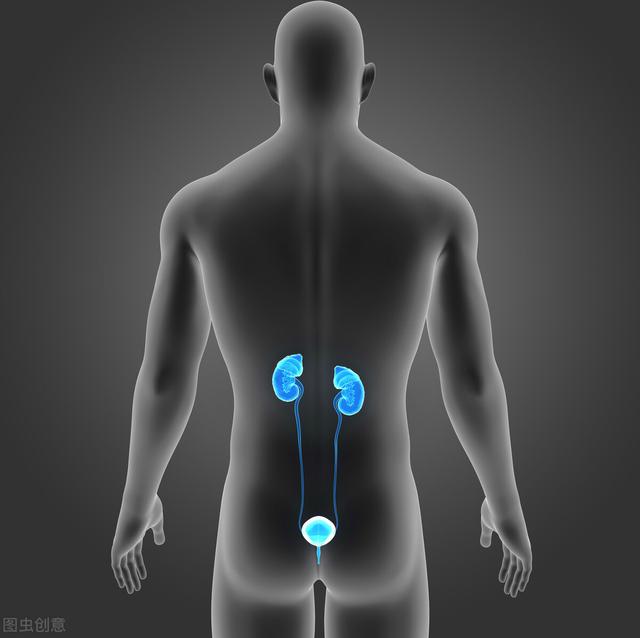 脚上这几种表现少的人，肾功能往往都比较强大，可以看一下