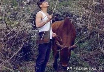 超级宝妈@在农村长大的孩子要学会这些东西，父母督促，学会很受益
