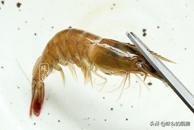 水煮虾时，冷水还是热水下锅？总有人弄错，难怪虾肉发柴不鲜嫩
