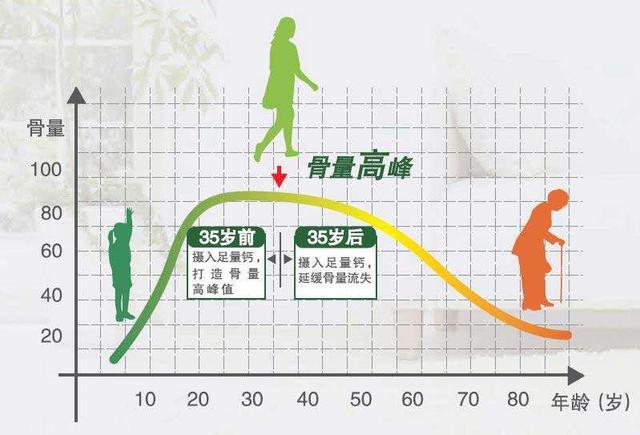 「你的育儿经」年纪大了才补钙,就太太太晚了。营养专家详解为什么补钙要趁早