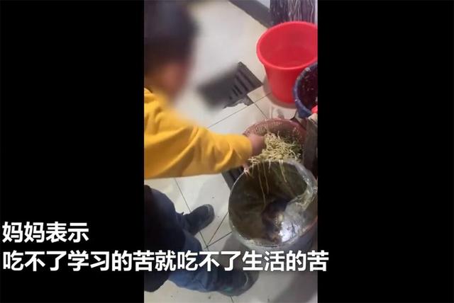 因抱怨读书苦，孩子被罚泔水桶捡面条，妈妈的回应让人佩服