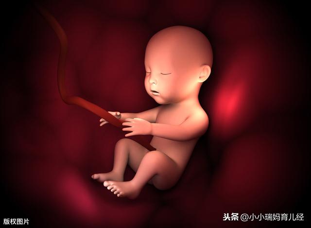 [你的育儿经]孕期那些事儿，那些被排挤或被照顾的经历