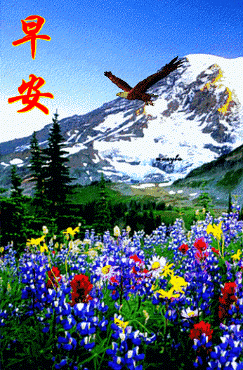 喜鹊在叫 你在笑 我在祈祷 愿你天天没烦恼   