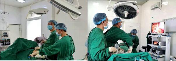 兴义镇|医共体发力 成都新津乡镇医院也能开展腹腔镜手术