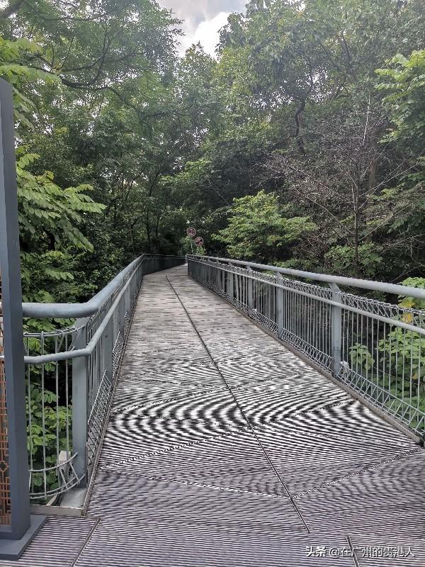 【山楂味的诗】走马观花,看顺德大良。