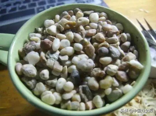中国妇女报：特殊时期 特别家教 | 战“疫”动起来（四十一）