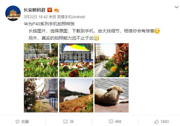 #太平洋电脑网#华为P40系列拍照样张流出：10倍变焦下仍不失细节