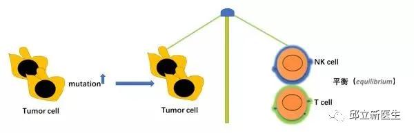 肿瘤医生揭秘：不懂免疫治疗的原理？先看肿瘤与免疫系统的关系