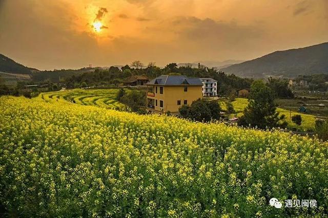 旅行百事通■国家级森林乡村！闽侯有5个村庄上榜