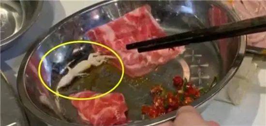 壁虎|火锅里吃出“会眨眼”的壁虎，崩溃！恶心！