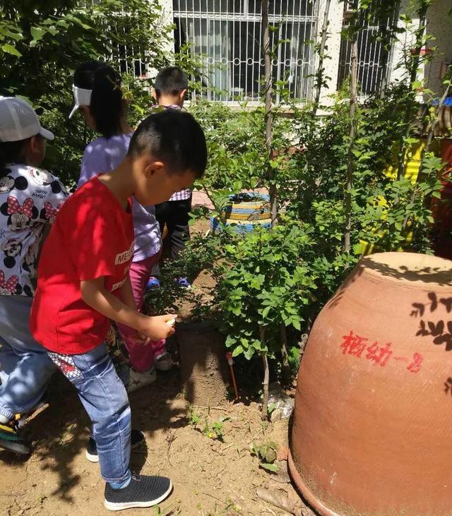 超级宝妈|咱栖霞的小朋友也都开学啦！看看娃儿们的开学第一天
