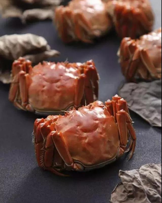 仿国宴经典菜品集｜欣赏