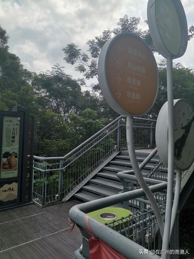 【山楂味的诗】走马观花，看顺德大良。