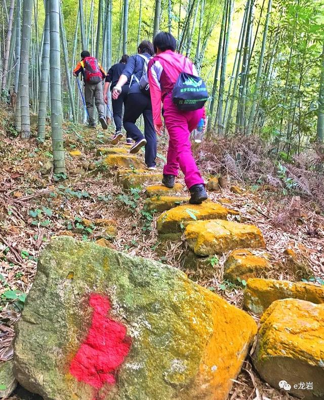 【玩乐足迹】超过福厦森林步道！来了解下从龙岩出发的武夷山国家森林步道全长