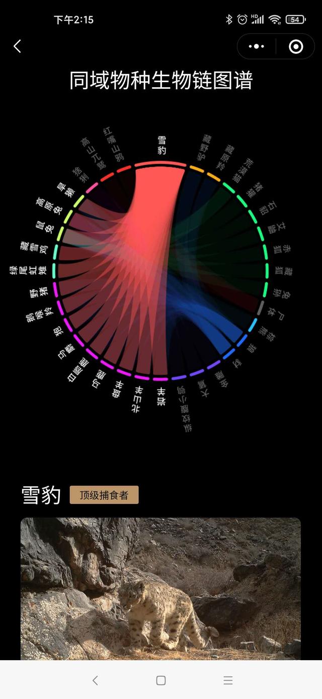 上线两天用户 10W+，这款 AI 知识图谱小程序有多牛？