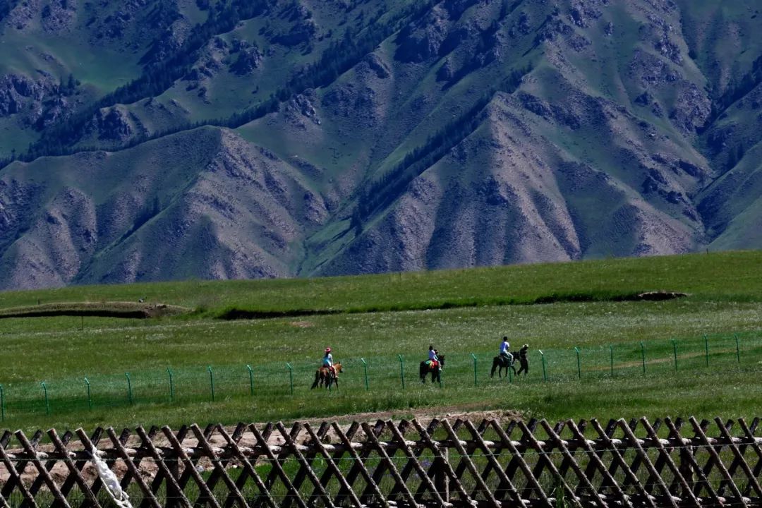 [浅唱风]联合国点赞的中国最低调省份，居然深藏如此宝藏小城！几乎浓缩西北全部的美，然99%的人路过却错过了！