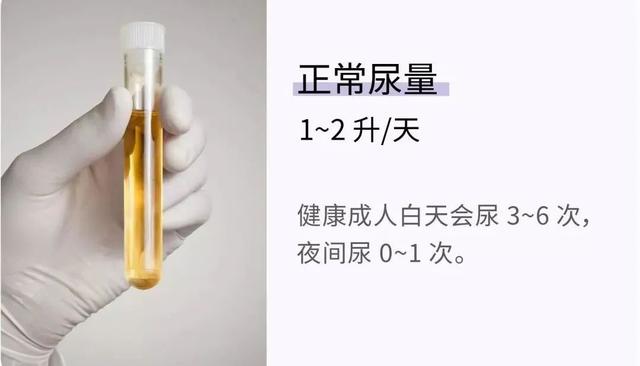 一天上几次厕所才算正常？22 组健康指标，让你更了解身体状况