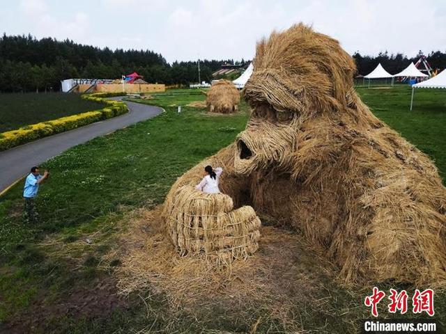 雕塑|全国高校大学生制作“稻草”雕塑群