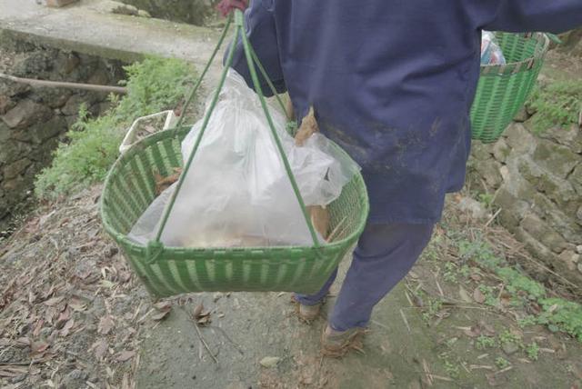 黄鱼|小柏菜｜去浙江山间，捕捉极品“山黄鱼”！那种鲜，才是春日限定美物