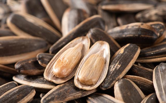 瓜子|哦！原来是大脑在奖励我自己