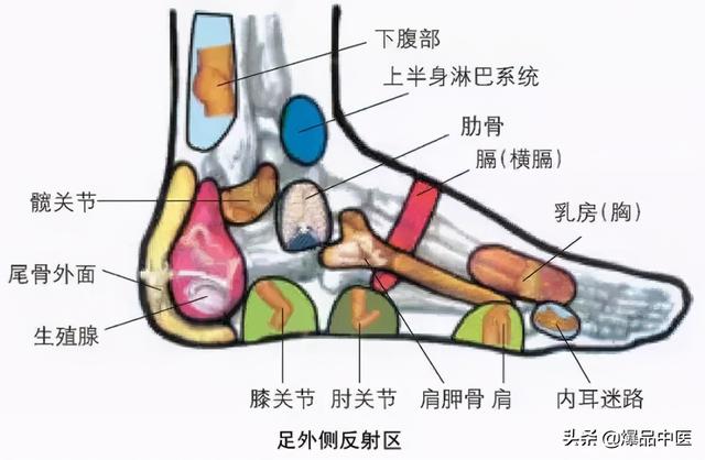 全身穴位治疗口诀大全，配图精华版