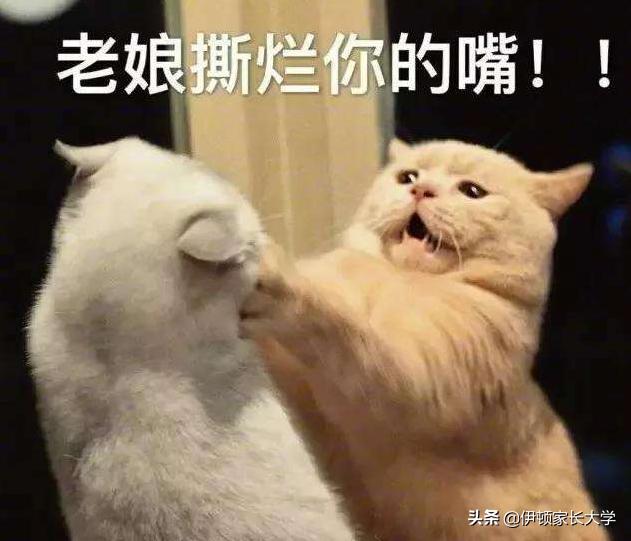 #超级宝妈#楼上邻居：嫌我们孩子闹腾？有本事你去住别墅啊