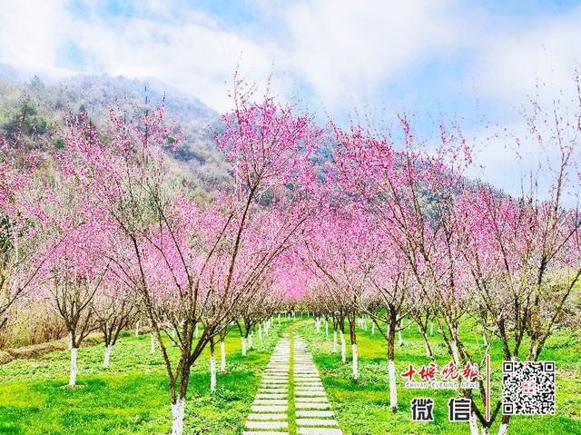 趣旅游@【十堰】十堰首家!这个景区今天复工!