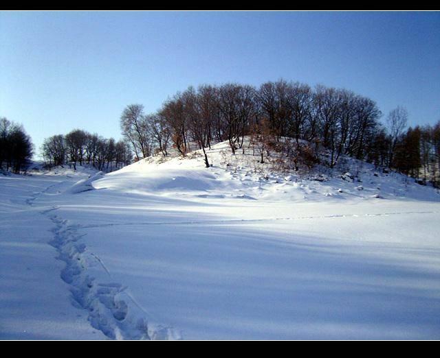 这一生我只做了两件事：吻了一下雪，或者把雪抱在了怀里