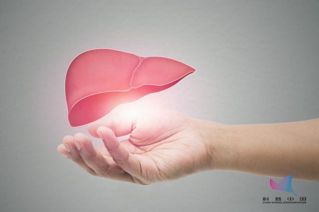 肝脏|体检查出这种肝“病”，90%都不用治！真正的危险信号是…
