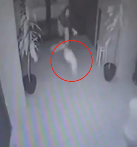 [超级宝妈]意21岁母亲和伴侣吵架拿孩子撒气，把两月大婴儿扔地上摔成脑损伤