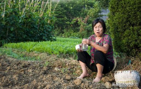 因为妈妈我成为一只飞出大山的凤凰男，因为她我又被重重摔死