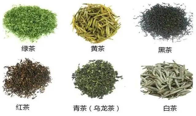 喝茶到底有益健康吗？喝红茶好，还是绿茶好？