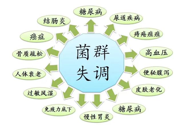 「营养健康学」四平人需要知道的关于肠道菌群的那些事儿