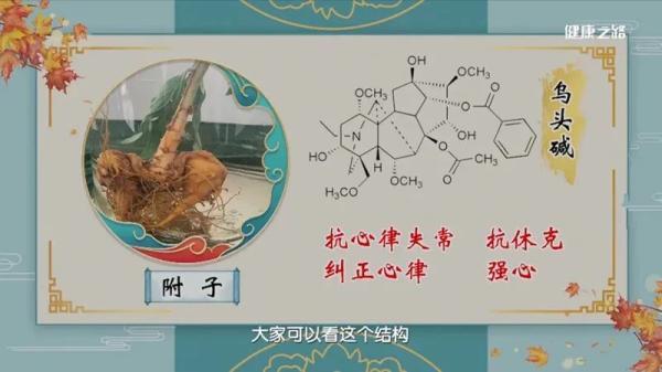 附子|是毒药也是救命药！这4种药材，您用对了吗？