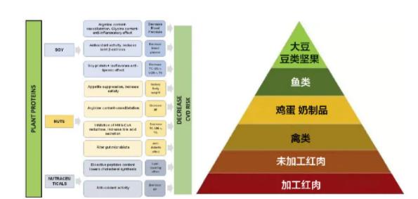 常吃豆腐早亡风险可降10%？！你以为你吃的这些是豆制品？错！常吃反而没好处