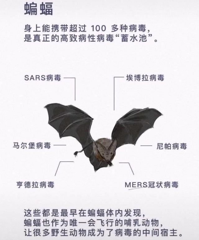 你的育儿经@理性一点，如何教育孩子正确认识小动物