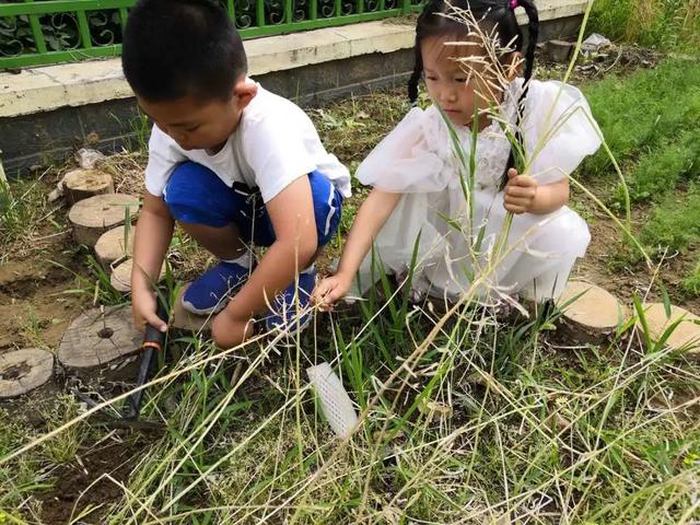 齐鲁东营资讯|亲亲宝贝欢迎“回家”——广饶街道中心幼儿园的开园第一天