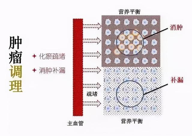 找到自愈癌症的神秘钥匙：他治愈了20多个癌症案例