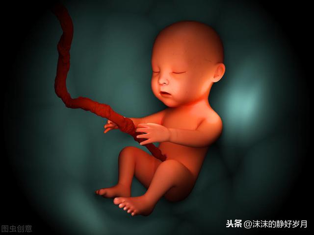 思念淡如水|孕妈妈常摸肚子，会导致胎宝宝脐绕颈？还是听听专家的解释吧