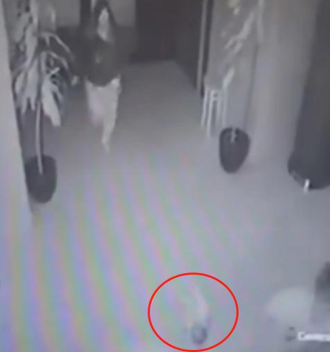 [超级宝妈]意21岁母亲和伴侣吵架拿孩子撒气，把两月大婴儿扔地上摔成脑损伤