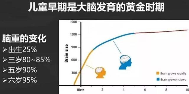 3岁前是大脑发育的“黄金期”，多“刺激”宝宝，能促进大脑发育